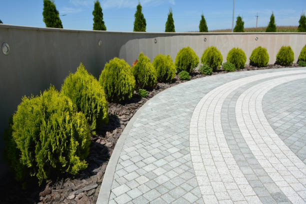 Best Concrete Paver Driveway  in Mcewen, TN